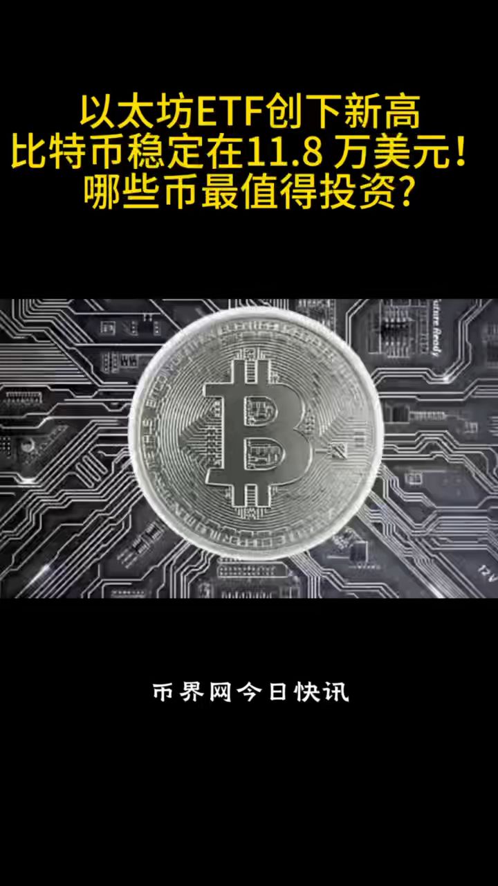 包含专家称SHIB将在年底冲破以太坊美元，引发引发关注，投资者瞩目的词条